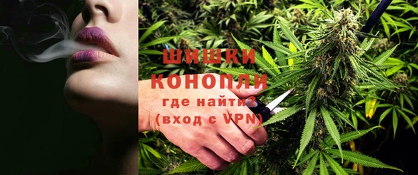 spice Беломорск