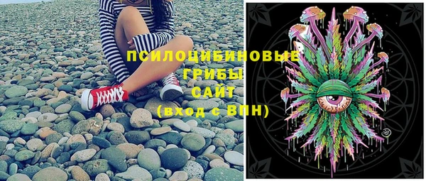 герыч Пересвет